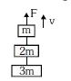 तीन ब्लॉकों (गुटकों) के द्रव्यमान क्रमशः m, 2m तथा 3m हैं, m ब्लॉक पर ऊपर की ओर F बल लगाने पर, सभी गुटके एक स्थिर वेग v से, ऊपर की ओर गति करते हैं। 2m द्रव्यमान के ब्लॉक पर कुल बल कितना है? (g गुरुत्वीय त्वरण है)