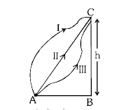 निम्न चित्रानुसार किसी कण को बिन्दुA से C तक विभिन्न पथों (I), (II) तथा (III) से गुरूत्वीय क्षेत्र में ले जाया जाता है, तो निम्न में से कौनसा कथन सही है :