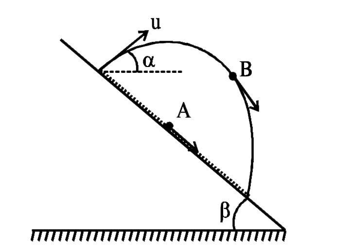 A particle A is thrown with initial velocity 5m//s along a frictionless inclined plane of inclination beta. Another particle B is thrown with initial velocity 10m//s at an angle alpha with the horizontal at the same moment when A is thrown and from same positon as that of A. Both the particle meet again on the inclined plane. The value of ((pi)/(alpha +beta)) is
