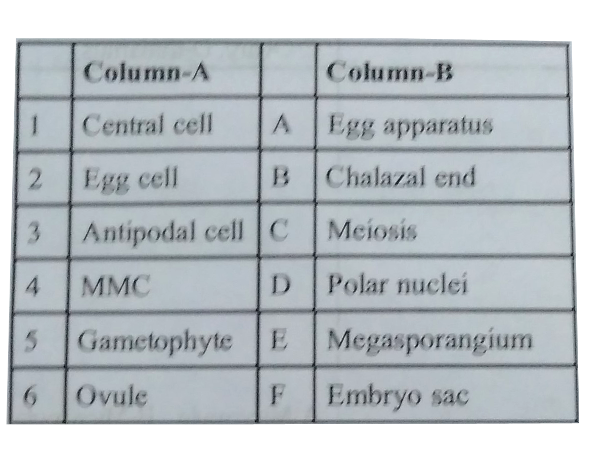 Match the following