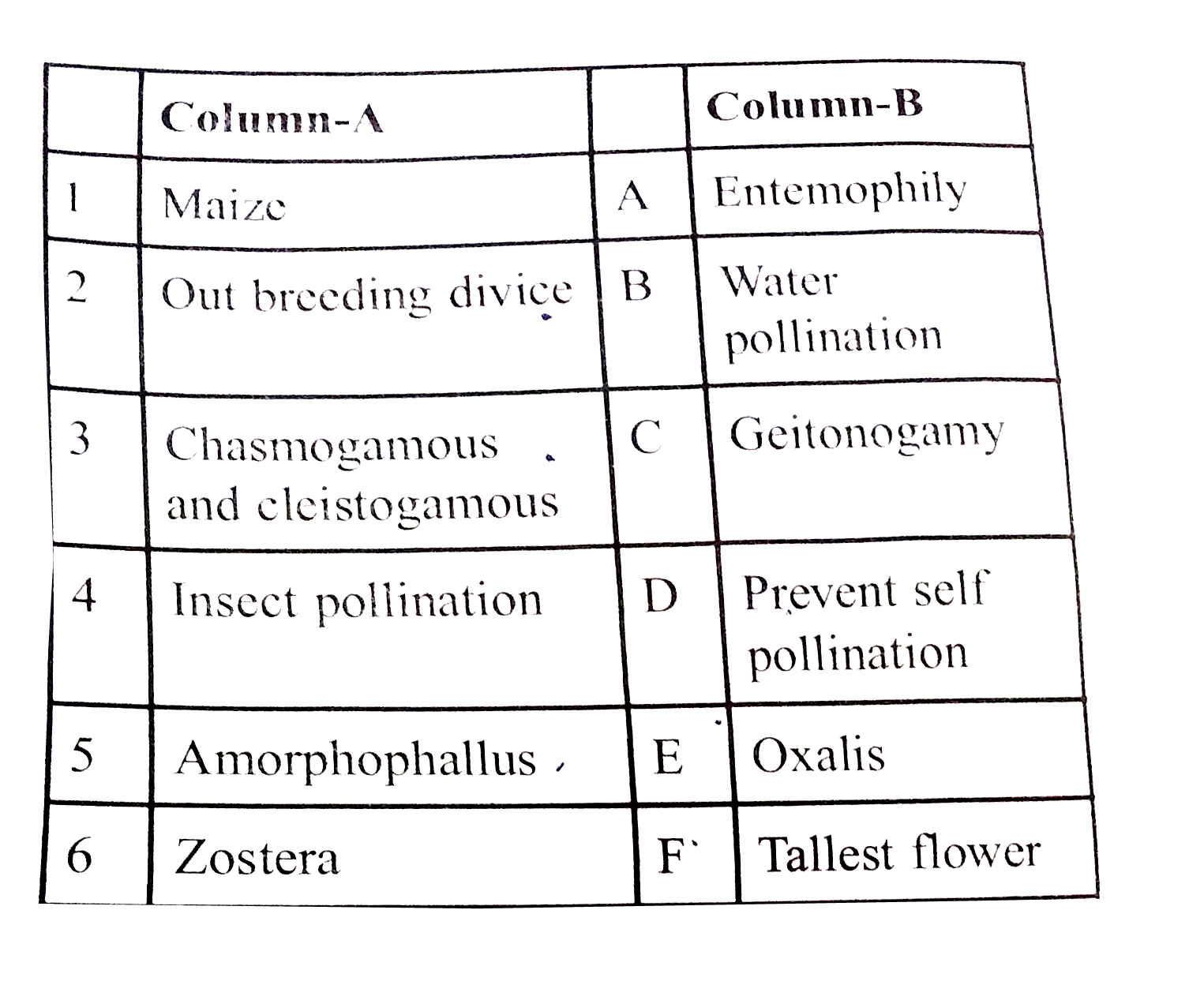 Match the following