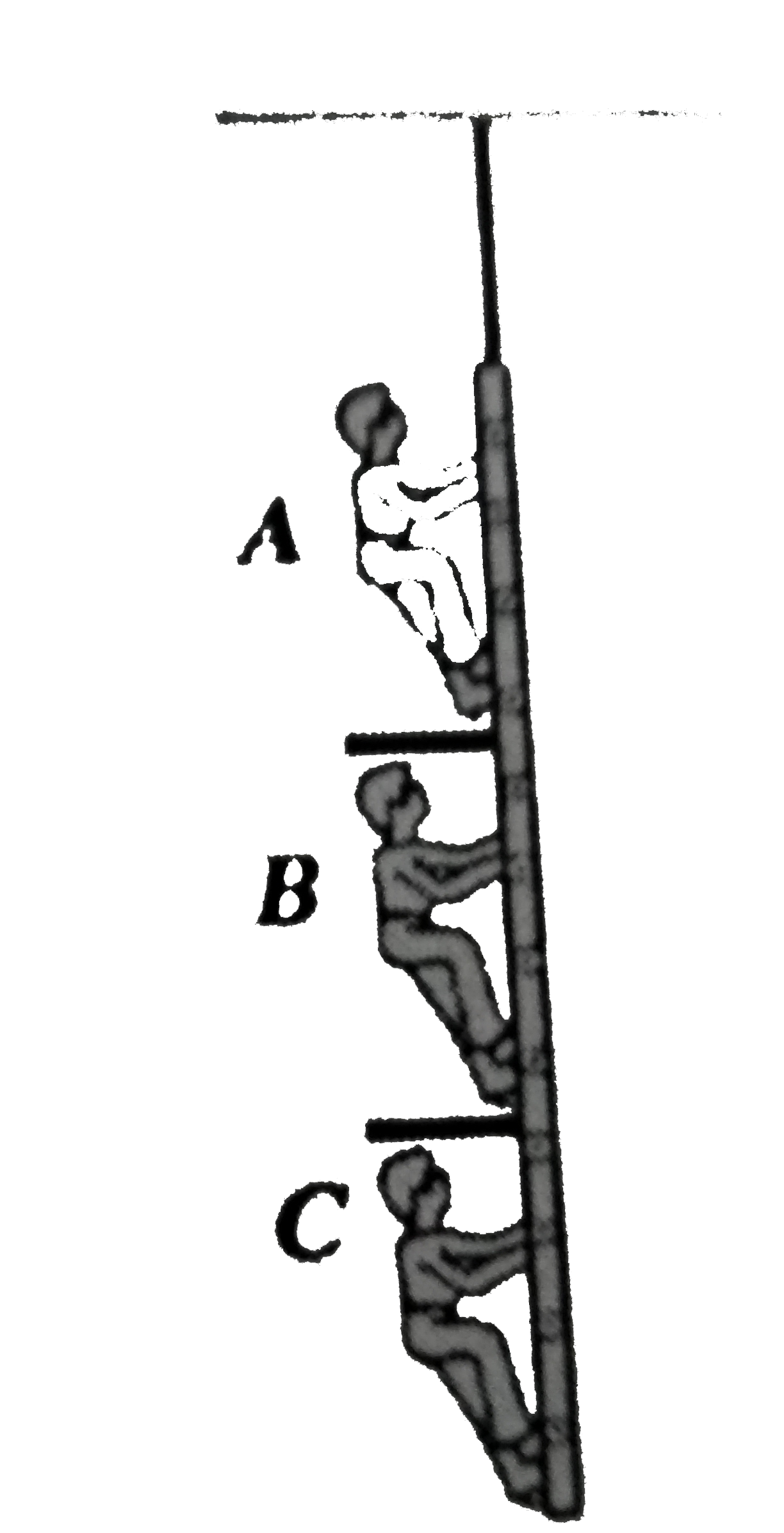 A ladder is hanging from ceiling as shownin figure. Three men A, B and C of masses 40 kg, 60 kg, and 50 kg are climbing the ladder. Man A is going up with retardation 2m//s^(2), C is going up with an acceleration of 1m//s^(2) and man B is going up with a constantg speed of 0.5 m/s. Find the tension in the string supporting the ledder. [g=9.8m//s^(2)]