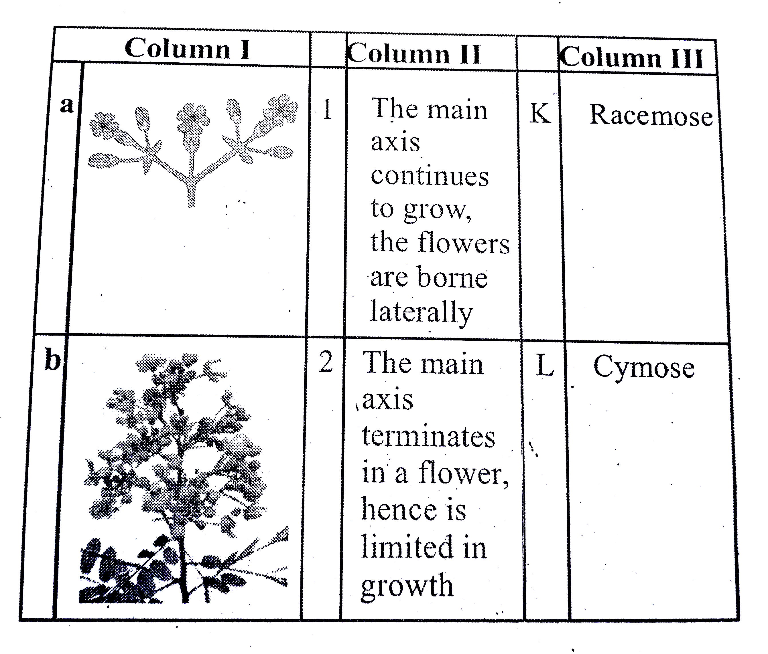Match the columns I, II and III and choose the correct combination from the option given :