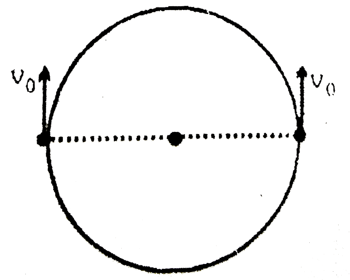 Two particles of mass m, constrained to move along the circumference of a smooth circular hoop of equal mass m, are initially located at opposite ends of a diameter and given equal velocities v(0) shown in the figure. The entire arrangement is located in gravity free space. Their velocity just before collision is :-