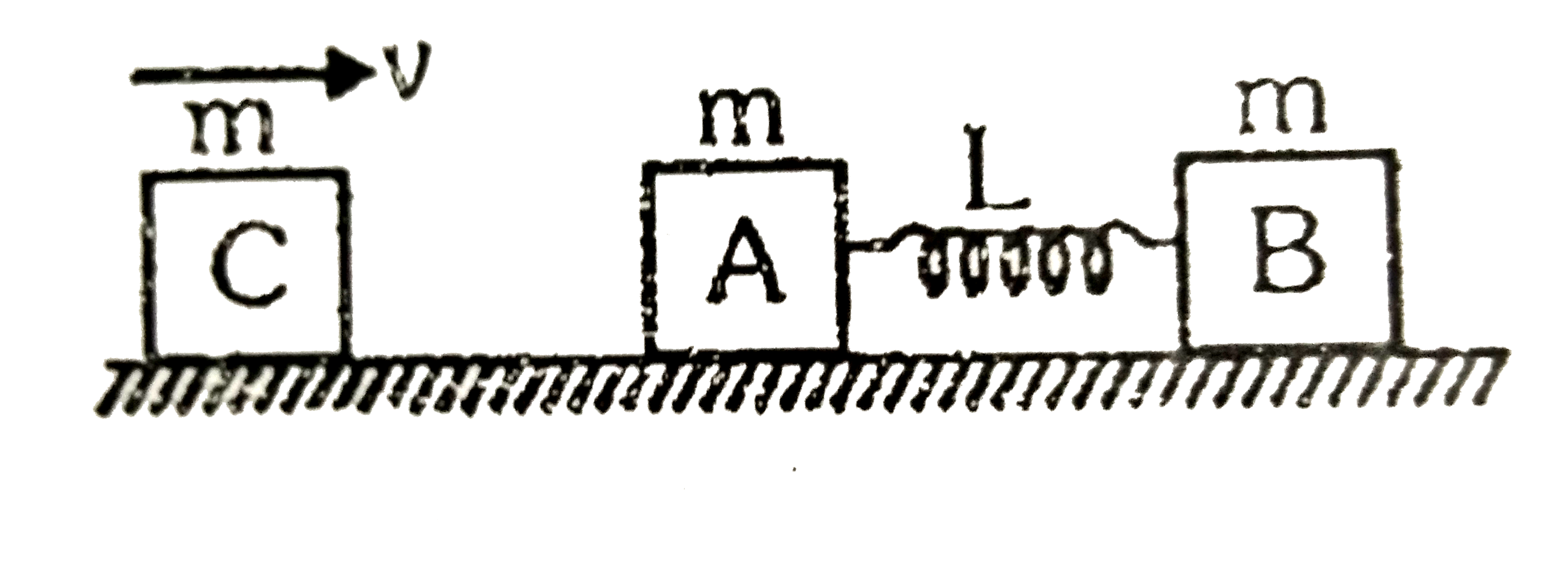 Two block A and B each of mass m are connected by a massless spring of natural length L and spring constant k. The blocks are initially resting on a smooth horizontal floor with the spring at its natural lengths as shown in fig. A third identical block C, alos of mass m, moving  on the floor with a speed v along the line joining A and B and collides elastically with A. Then