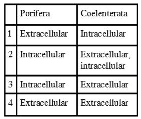 Type of digestion in Porifera and Coelenterata