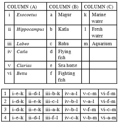 Match the columns :-