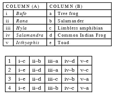 Match the columns and choose the correct answer from the options given below