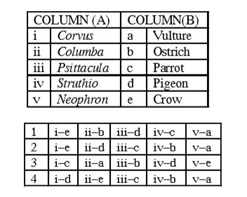 Match the columns and choose the correct answer