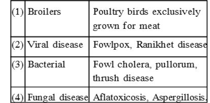 Which of the following is incorrect with respect to poultry.
