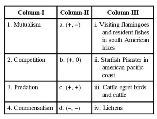 Identify the correct match from the column I, II and III