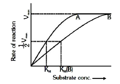 Study above the given graph and find out the correct statement regarding this :-