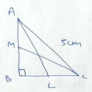 In a Delta  right angled  at B .  AC  = 5 cm , median  AL = (3 sqrt(5))/(2) find the length of second median CM in cm ?