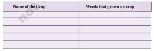 Make a list of the major weeds in your area (you have already conducted the project). Find out the weeds which are grown in different crops?