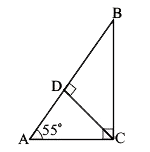 triangle ABC is right angled at C and CD bot AB, angle A = 55^(@)  angle BCD=