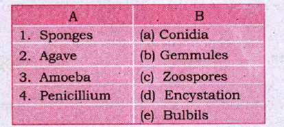 Match the following: