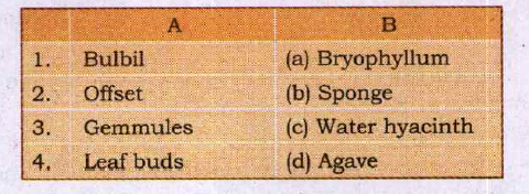 Match column A with B