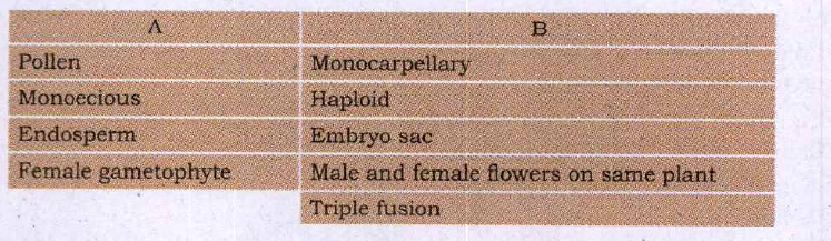 Match the following: