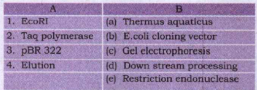 Match the following: