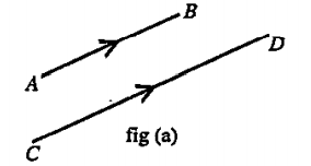 Two vectors having same magnitude are collinear.  ( true or false)