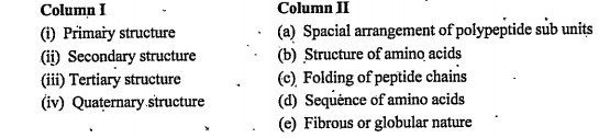 Match the following structures of protein in column I with their characteristic features in column II