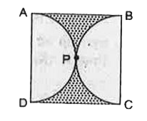 आकृति में, छायांकित भाग का क्षेत्रफल ज्ञात कीजिए, यदि ABCD भुजा 14 cm का एक वर्ग है तथा APD और BPC दो अर्धवृत्त हैं।