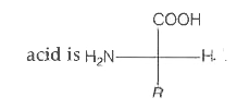 The general  structural  formula  of alpha- amino    trytophan (X ) and  histidine (Y ) are  respectively