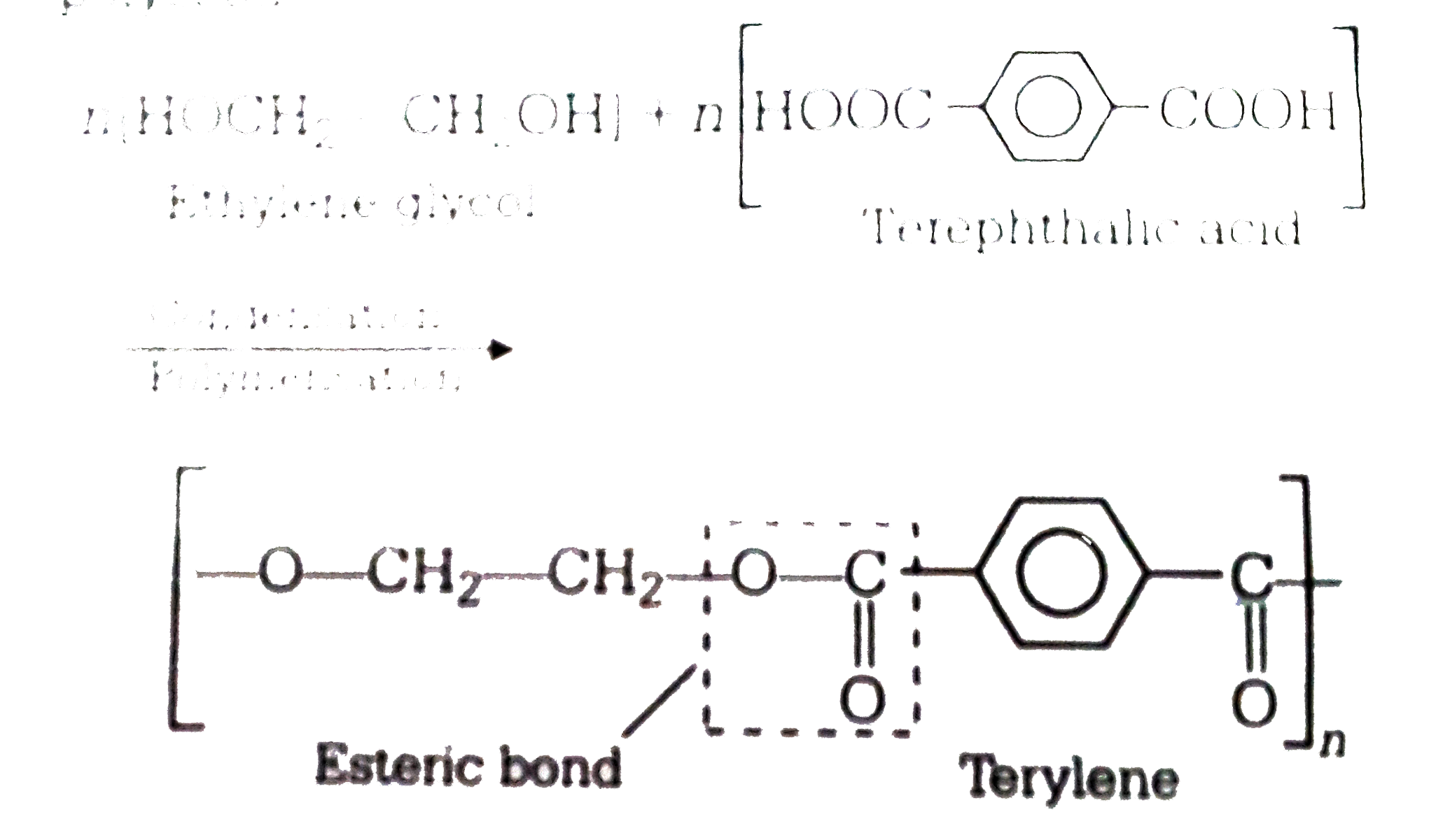 Dacron is obtained by the condensation polymerization of