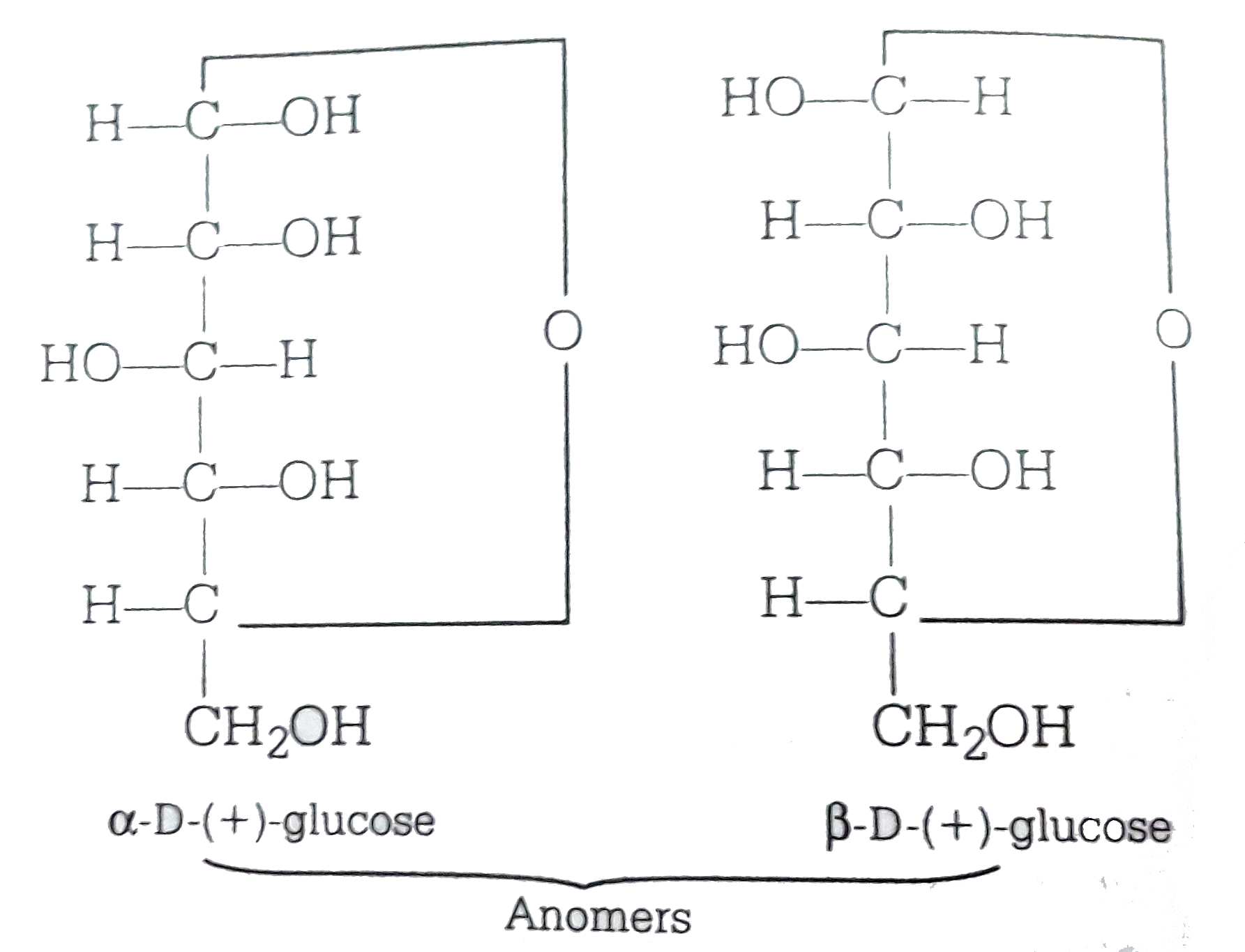 Alpha D Glucose And Beta D Glucose Are