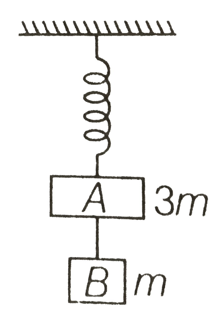 Two blocks A and B os masses 3m and m respectively are connected by a massless and inextensible string. The whole system is suspended by a massless spring as shown in figure. The magnitudes of acceleration of A and B immdediately after the string is cut are respectively.
