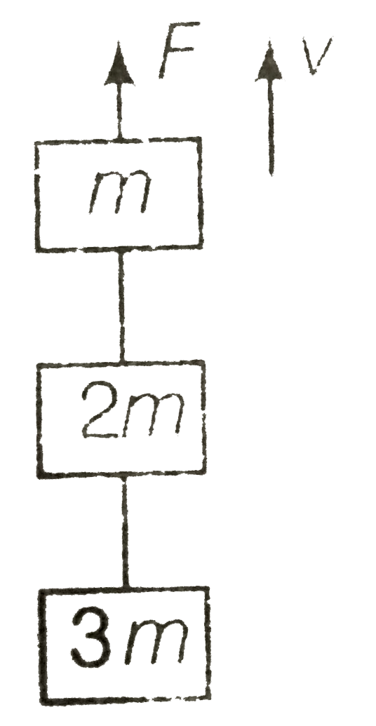 Three blocks with masses m,2m and 3m are connected by strings, as shown in the figure. After an upward force F is applied on block m, the masses move upward at constant speed v. What is the net force on the block of mass 2m ? (g is the acceleration due to gravity).