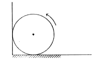 A uniform cylinder of radius 1 m, mass 1 kg spins about its axis with an angular velocity 20 rad/s. At certain moment, the cylinder is placed into a corner as shown in the figure. The coefficient of friction between the horizontal wall and the cylinder is mu , whereas the vertical wall is frictionless. If the number of rounds made by the cylinder is 5 before it stops, then the value of mu  is (acceleration due to gravity, g = 10 m//s^2 )