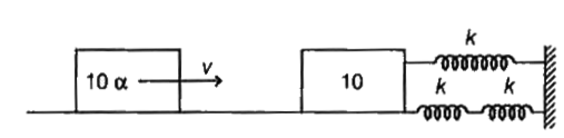 A block of mass (10 alpha), where alpha is a constant is moving with velocity 3 m/s to the right collides inelastically with the block on the right with mass 10g and sticks to it. The right block is connected to three springs as shown in the figure. The spring constant of each spring is 2N/m. If the amplitude of the resulting simple harmonic motion is (1)/(2 sqrt2)m, then the value of alpha is