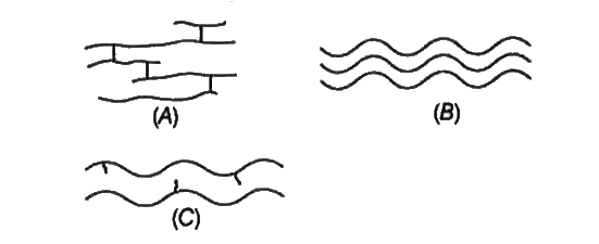 The schematic illustrations of macromolecules given below represent
