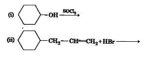 Draw the structure of major monohaloproduct in each of the following reactions :