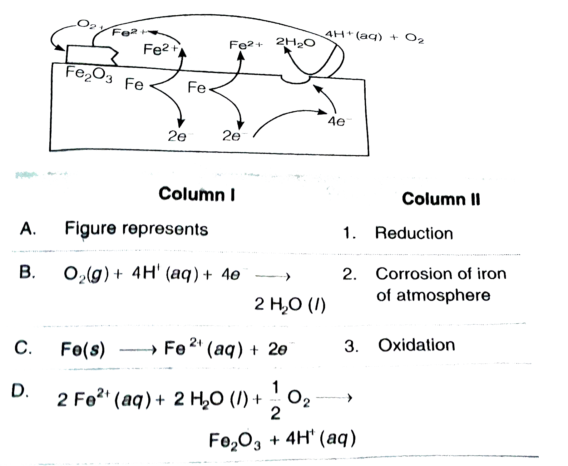 Matach column I with column II related to the figure  given below  and then  select the appropriate option from the codes given