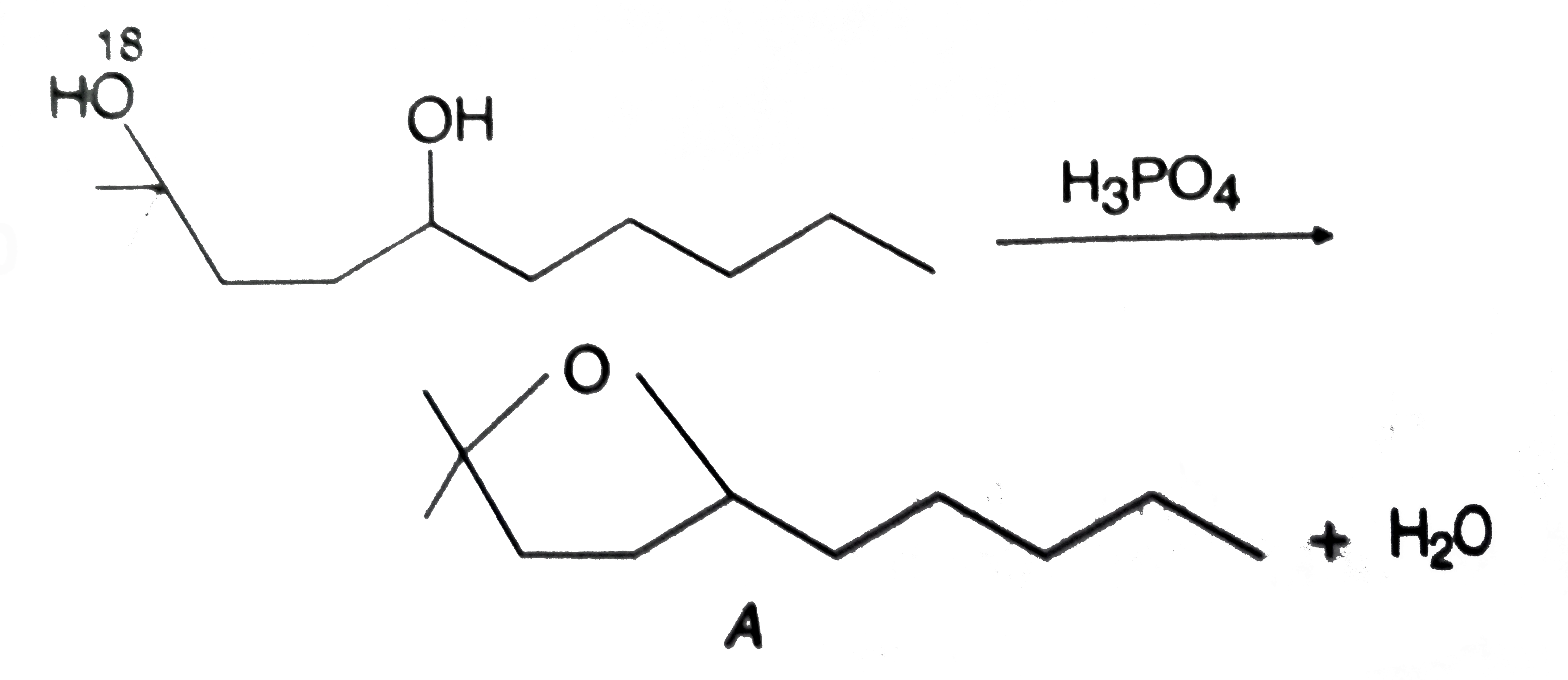 In the above dehydration reaction .^(18)C will be in