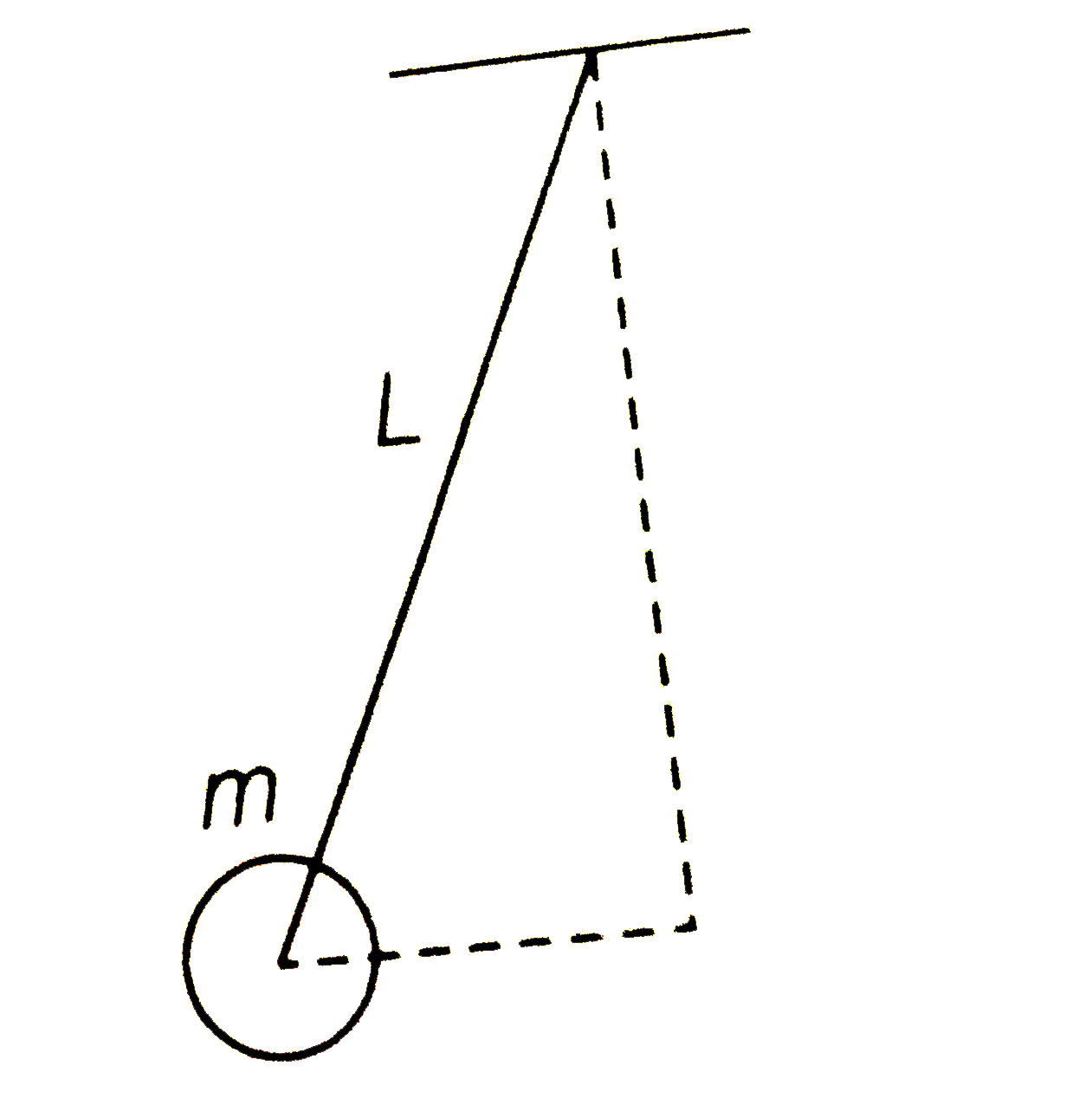 A ball of mass (m) 0.5 kg  is attached to the end of a string having length (L) 0.5 m. The ball is rotated on a horizontal circular path about vertical axis .  The maximum tension that the string can bear is 324 N . The maximum possible value of angular  velocity of ball (in rad  s^(-1))is
