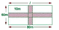 A rectangular grass plot 80 m xx 60 m has two roads, each 10 m wide, running in the middle of it, one parallel to length and the other parallel to breadth.Find the area of the roads.