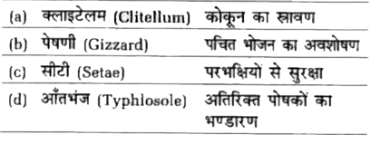 फेरेटिमा में निम्नलिखित में से कौन-सी संरचना अपने कार्य के साथ सुमेलित है ?