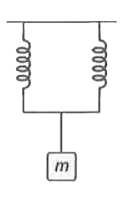 एक द्रव्यमान m समान लम्बाई की दो स्प्रिंगों से लटका हुआ है। स्प्रिंगों के बल नियतांक क्रमशः k(1) व k(2)  हैं। जब पिण्ड को ऊर्ध्वाधर दिशा में दोलन कराया जाता है तो इसका आवर्तकाल होगा
