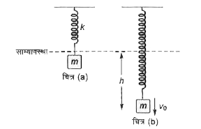 एक m द्रव्यमान का ब्लॉक k बल नियतांक की स्प्रिंग से साम्यावस्था में लटका है चित्र (a)। इस ब्लॉक को इसकी साम्य स्थिति से नीचे की ओर विस्थापन देकर v(0)  चाल प्रदान की जाती है चित्र (b)। इस झटके से ब्लॉक सरल आवर्त गति करने लगता है।       दोलन के आयाम हैं