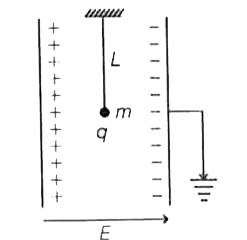 L लम्बाई के एक सरल लोलक को चित्रानुसार एक समान्तर प्लेट संधारित्र के मध्य जिसमें विद्युत क्षेत्र E है, में रखा है। इसके लोलक का द्रव्यमान m तथा q आवेश है। इस लोलक का आवर्तकाल होगा