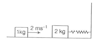 एक कमानी-गुटका निकाय एक घर्षणरहित फर्श पर विरामावस्था में है, जैसा की चित्र में दर्शाया गया है।  कमानी स्थिरांक 2.0N-m^(-1) है और गुटके का द्रव्यमान 2.0kg की उपेक्षा कीजिए।  शुरआत में कमानी  विराम अवस्था में है।  एक दूसरा गुटका , जिसका द्रव्यमान 1.0kg है और चाल 2.0ms^(-1) है, पहले गुटके से प्रत्यास्थ संघटट करता है। इस संघटट के बाद 2.0kg का गुटका दीवार से नहीं टकराता है।  जब कमानी संघटट के बाद पहली बार अपनी विराम स्थिति में वापस आती है, तब दोनों गुटको के बीच की दुरी ........ मीटर होगी।