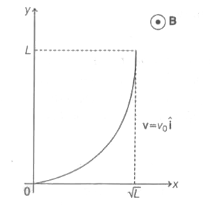 चित्रानुसार एक असमान चुम्कीय क्षेत्र B=B(0)(1+(y/L)^(beta))k में एक परवलय (Parabolic shape) आरंभ में y=x^(2) वाला विधुत चालक तार वेग v=u(0)i से चल रहा है| यदि v(0),B(0),L तथा beta धनात्मक नियतांक है एवं तार के सिरों के मध्य उत्पन विभावंतर  Deltatheta है तब निम्नलिखित कथनों में से कौन सा सही हे?