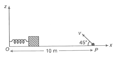 एक द्रव्यमान रहित स्प्रिंग की तनावरहित लम्बाई 4 .9 मी है। उसका एक सिरा बंधित है और दूसरे पर एक छोटा गुटका लगा है यह निकाय एक घर्षण रहित क्षैतिज सतह पर रखा है। समय t =0 पर गुटके को 0 .2 मी भी खिंच कर स्थिर से छोड़I जाता है। तब वह गुटका omega =(pi)/(3) रेडियन/से आवृति का सरल आवृत दोलन करता है। ठीक उसी समय (t = 0 ) पर छोटा कंकड़ v चाल से क्षैतिज से 45^(@) कोण पर बिंदु P से प्रक्षेपित किया जाता है। बिंदु P की बिंदु O से दुरी (क्षैतिज ) 10 मी है। यदि t =1 सेकंड पर कंकड़ गुटके पर गिरता  है। तब v का मान है- (g=10मी/से