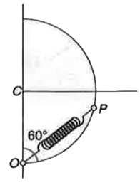 एक चिकने अर्धवृत्ताकार आकृति की R त्रिज्या वाली तार की ऊर्ध्व तल में स्थित है।  लीक के निम्नतम बिन्दु O पर (3R)/(4) स्वाभाविक लम्बाई की एक भारहीन स्प्रिंग का एक सीरा जुड़ा है।  स्प्रिंग का दूसरा सीरा m द्रव्यमान के एक छल्ले बिन्दु P पर स्थितरावस्था में है तब स्प्रिंग उर्ध्व से 60^@ का कोण बनाती है। स्प्रिंग नियतांक k=mg//R है।  जब छल्ले को मुक्त किया जाता है तब      (a) छल्ले का बल निर्देशांक आरेख बनाइये।   (b) छल्ले के स्पर्शरेखीय त्वरण तथा अभिलम्ब प्रतिक्रिया के मान ज्ञात कीजिए।