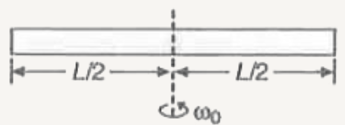 लम्बाई L व द्रव्यमान M की एक चिकनी एकसमान छड़ पर नगण्य आकार के दो एक से दाने (प्रत्येक का द्रव्यमान m) खिसकने के लिए स्वतंत्र हैं। प्रारंभ में दोनों छड़ के केंद्र पर है तथा वह निकाय छड़ के मध्य बिंदु से गुजरने वाली लम्बवत अक्ष के परितः कोणीय वेग omega(0) से चित्रानुसार घूम रहा है। निकाय पर कोई बाह्य बल नहीं लगा है। जब दाने छड़ के किनारा पहुंच जाते हैं तो निकाय का कोणीय वेग................ है।