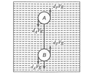 समान आयतन परन्तु आसमान घनत्वों d(A) तथा d(B) वाले दो ठोस गोले A व B एक धागे से जोड़े गए है। वे दोनों d(F) घनत्व के एक द्रव में डूबे हुए है। साम्य अवस्था में वे दोनों चित्र में दिखाएं अनुसार है और धागे में तनाव है। गेंदों को इस अवस्था में रहने के लिए जरूरी है कि