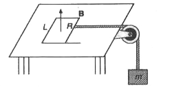 नगण्य प्रतिरोध वाली दो समान्तर क्षैतिज चालक पटरियों को एक सिरे पर लघुपथित करके एक मेज पर जड़ दिया जाता है। पटरियों के बीच की दूरी है। एक द्रव्यमानहीन चालक छड़, जिसका प्रतिरोध है, बिना घर्षण के पटरियों पर फिसल सकती है। छड़ को एक द्रव्यमानहीन डोरी द्वारा मेज के किनारे पर लगी घिरनी (Pulley) के ऊपर से ले जाकर m द्रव्यमान के ब्लॉक से सम्बन्धित किया गया है। मेज के अभिलम्बवत् एक नियत चुम्बकीय क्षेत्र B विद्यमान है। यदि निकाय को विरामावस्था से छोड़ा जाए तो गणना कीजिए (a) छड़ द्वारा प्राप्त सीमान्त वेग। (b) जब छड़ का वेग सीमान्त वेग का आधा हो, तब ब्लॉक का त्वरण।